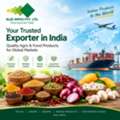 Exporter In India &ndash; Glee Impex For Global Buyers
