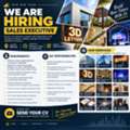 Sales Executive