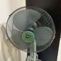 SAR 75,  FAN