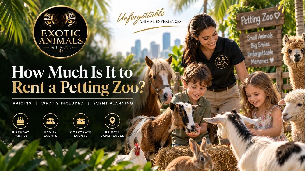 Miami, Business, How Much Is It To Rent A Petting Zoo?