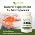 Best Herbal Remedies For Gastroparesis Without Side Effects