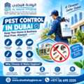 Looking For Pest Control In Dubai? Call Al Waha Hygiene At +971 56 695 2225
