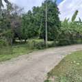 THB 3500000,  6 BR,  414 Sq. Feet,  ขายที่ดิน 1 ไร่กว่า ต.สันทราย เมืองเ
