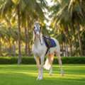 Mountain View Resorts | Best Resorts In Coimbatore For Family