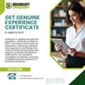 Professional Experience Certificate Services In Delhi