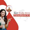 Italy Study Guidance From Mumbai