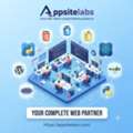 Web Development Services In Delhi For Growing Businesses