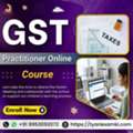Learn GST Filing With Online Practitioner Course