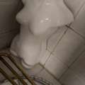 SAR 50, MANNEQUINS FOR SALE