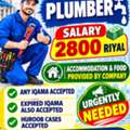 🚨 URGENT JOB OPPORTUNITY – PLUMBERS NEEDED 🇸🇦