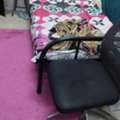 SAR 500/month,  Furnished Room Bed Space