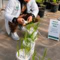 Agriculturalist