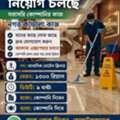 Hotel Cleaner