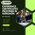 Internship And Experience Certificate Provider In Gurgaon