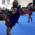 Checkout The Adult Muay Thai And Karate Classes Of AMAF Australia