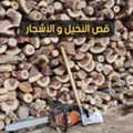 عامل تقطيع حطب في الرياض