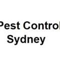 Pest Control Sydney