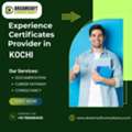 IT Experience Certificate Provider In Kochi