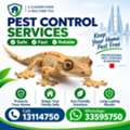 Pest Control Services