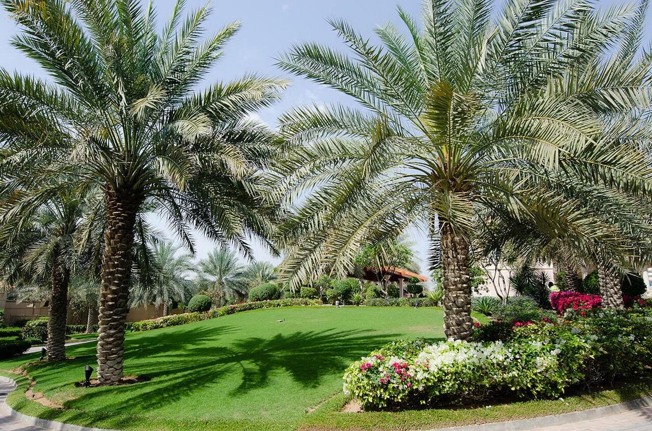 Jubail, Farm/Garden, Gardening And Landscaping Services