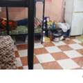 SAR 500/month,  Bed Space Available Near Tissue Ishara, Al Wizarat