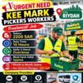 Picker And Packers In Door Riyadh