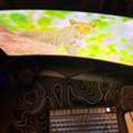 SAR 550,  AOC C27G4ZE 27&rdquo; 280Hz Curved Gaming Monitor
