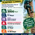 PLANTREE CLIMBER