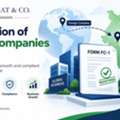 Professional Assistance For International Businesses Entering India
