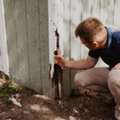 Reliable Expert Guidance For Expert Witness Consulting In Termite