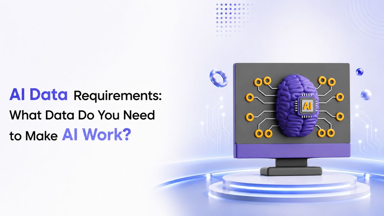 New York, Software Development, AI Data Requirements: What Data Does AI Need?