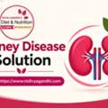 Nutrition Planning Across Different Stages Of Kidney Care