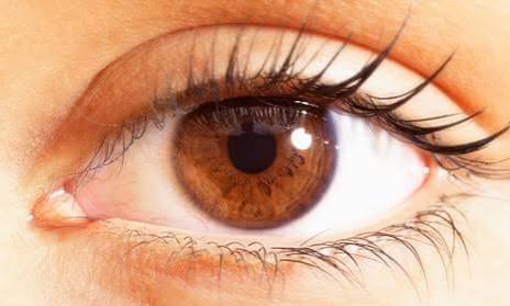 New Delhi, Health, Looking For Retinitis Pigmentosa Treatment In Delhi? Get Specialist Eye Care