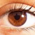 Looking For Retinitis Pigmentosa Treatment In Delhi? Get Specialist Eye Care