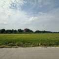 THB 10000,  6335 Sq. Feet,  ให้เช่าที่ดินเปล่าถมแล้ว ทำเลดี แป