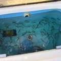Advanced Live Bait Care Solutions For Cleaner, Healthier Livewells
