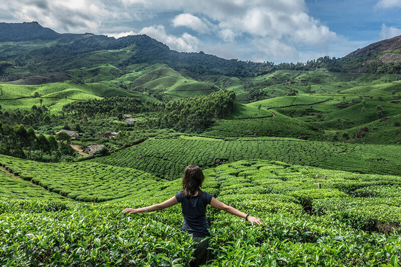 New Delhi, Travel, Top Honeymoon Destinations In Kerala