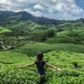 Top Honeymoon Destinations In Kerala