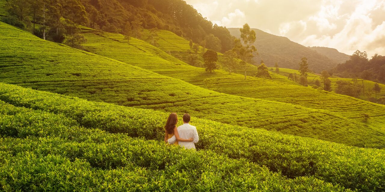 New Delhi, Travel, Top Honeymoon Destinations In Kerala