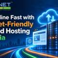 Get Online Fast With Budget-Friendly Shared Hosting In India