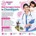 Best Surrogacy Centres In Chandigarh