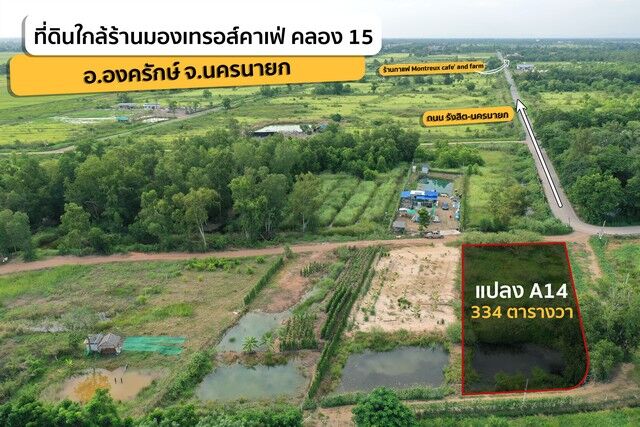 Bangkok, Real Estate For Sale, THB 2171000,  6 BR,  334 Sq. Feet,  ขายที่ดินคลอง 15 ใกล้ Montreux Cafe & Farm แปลง A-14 334 ตร.วา 