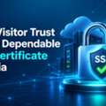 Earn Visitor Trust With A Dependable SSL Certificate In India