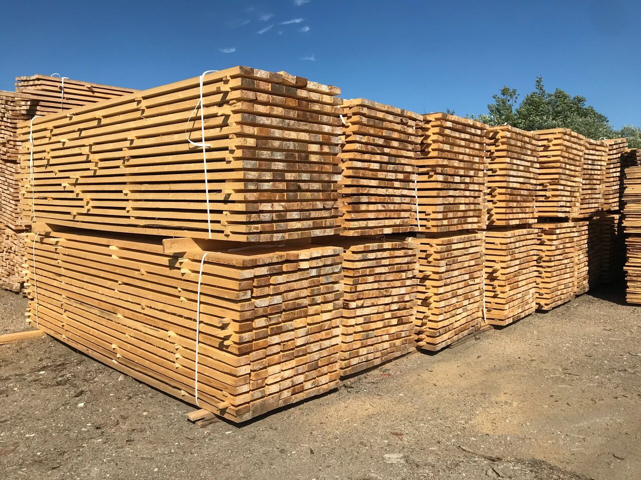Auckland, Furniture, NZD 50,  Natural Pine Wood Building Material- Customized Pine Timber /lumber/log Wood