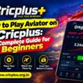 How To Play Aviator On Cricplus: A Complete Guide For Beginners