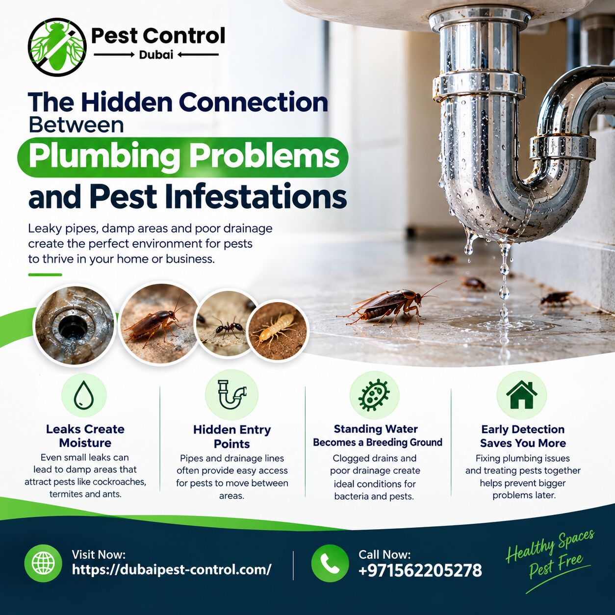 Dubai, Pest Control, The Hidden Connection Between Plumbing Problems And Pest Infestations