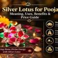 Buy Silver Lotus Online At Best Price | The Stardust Studio