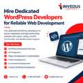 Hire A Dedicated WordPress Developer For Custom Web Solutions
