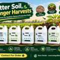 High Fertilizer Costs With Low Results? Explore Nano Fertilizers &ndash; Contact Now