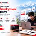 Web Design & Development
